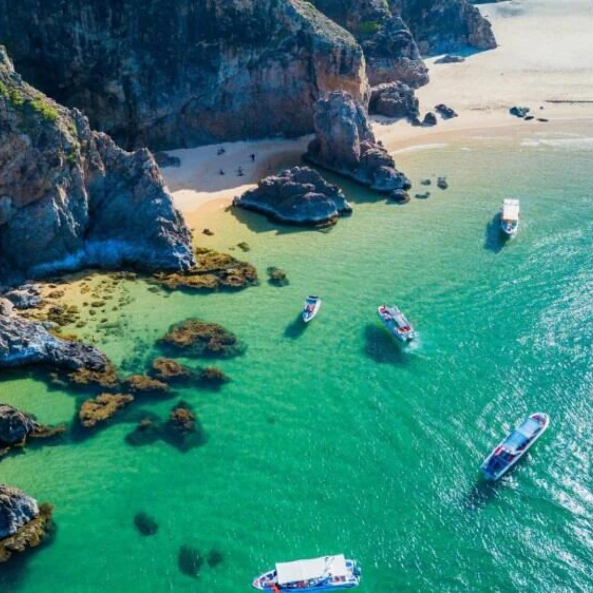 Chưa có tên (1200 x 1200 px) (66)