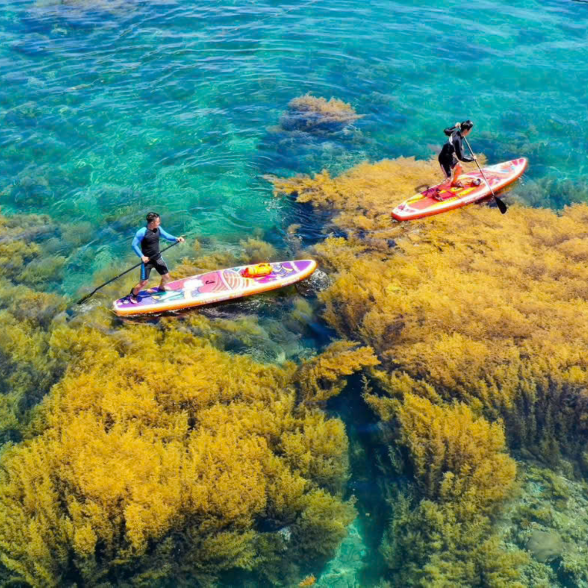 Chưa có tên (1200 x 1200 px) (46)