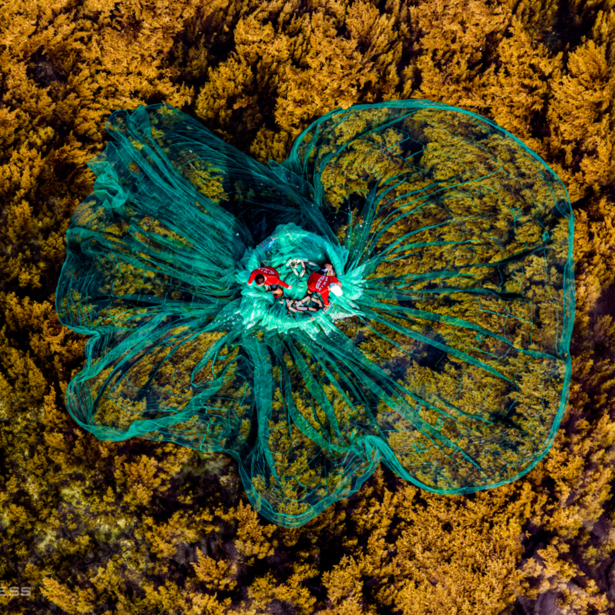 Chưa có tên (1200 x 1200 px) (48)