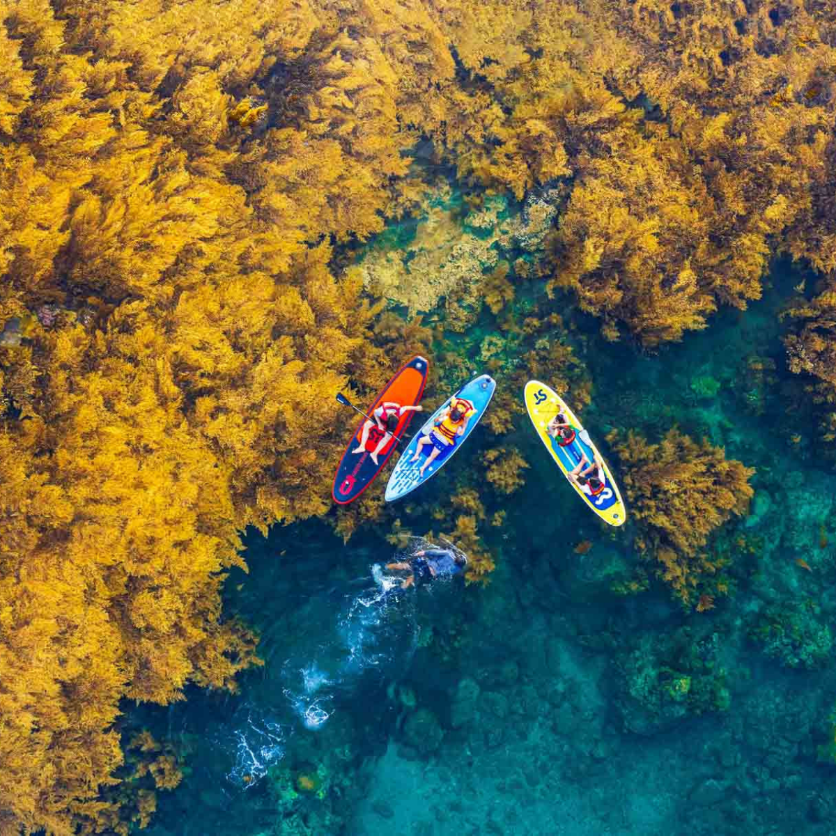 Chưa có tên (1200 x 1200 px) (49)