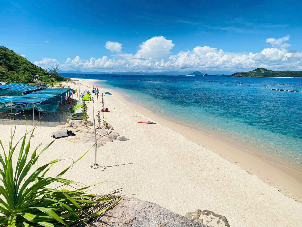 z7497240873050_40e2b964e3e1c4658b30318c70ca6f8f